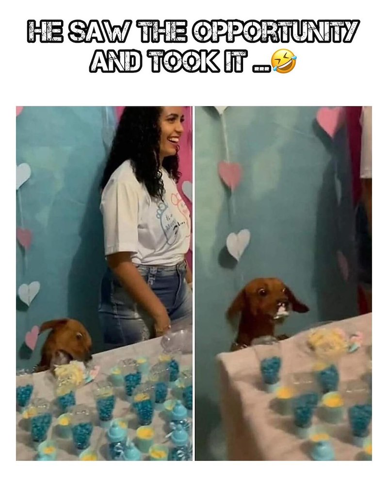 HE SAW THE OPPORTUNITY AND TOOK I