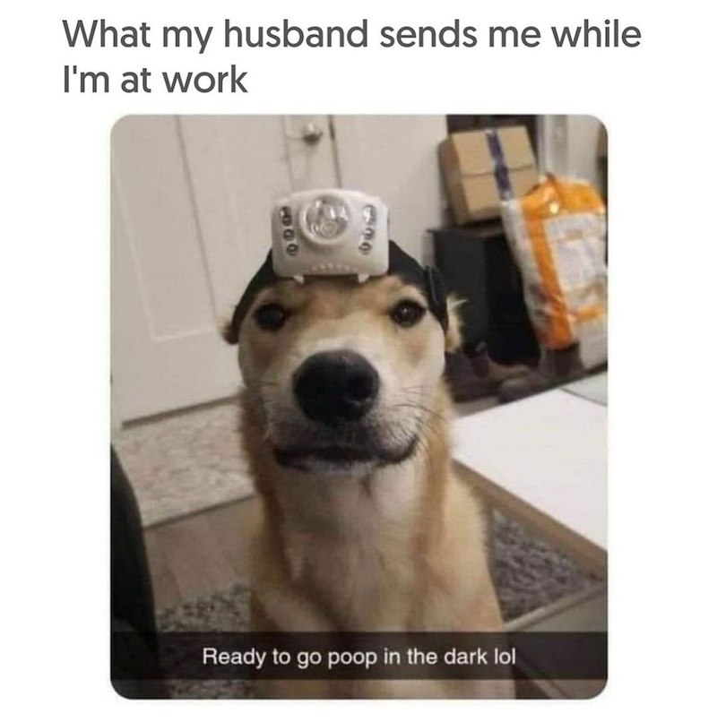 What my husband sends me while I'm at work 600 630 Ready to go poop in the dark lol