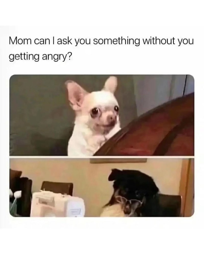 Mom can I ask you something without you getting angry?