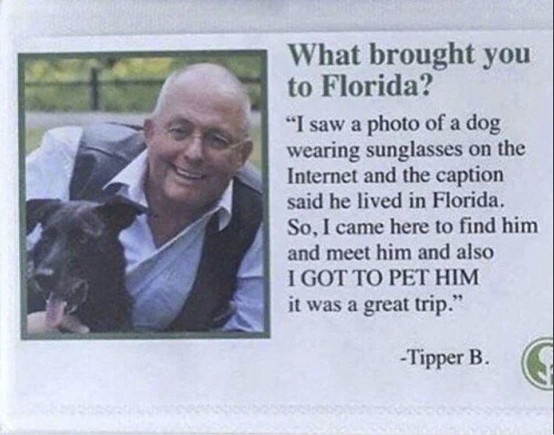 What brought you to Florida? "I saw a photo of a dog wearing sunglasses on the Internet and the caption said he lived in Florida. So, I came here to find him and meet him and also I GOT TO PET HIM it was a great trip." -Tipper B.