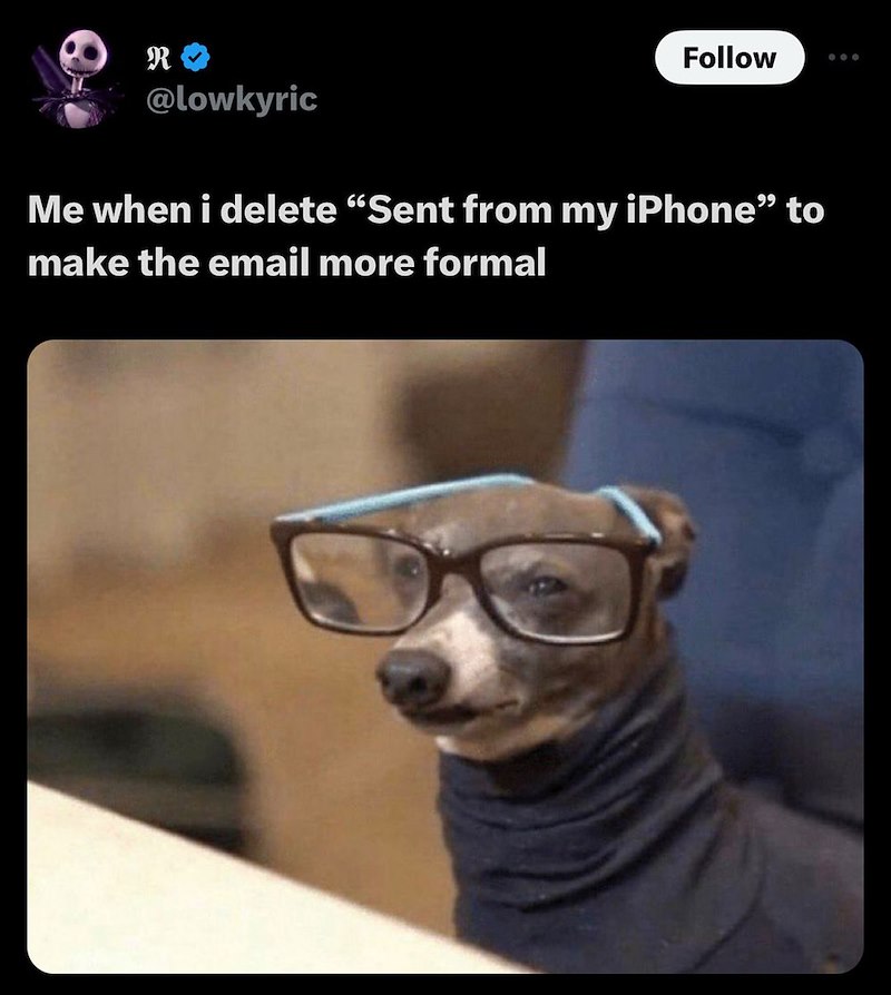 R @lowkyric Follow Me when i delete “Sent from my iPhone" to make the email more formal