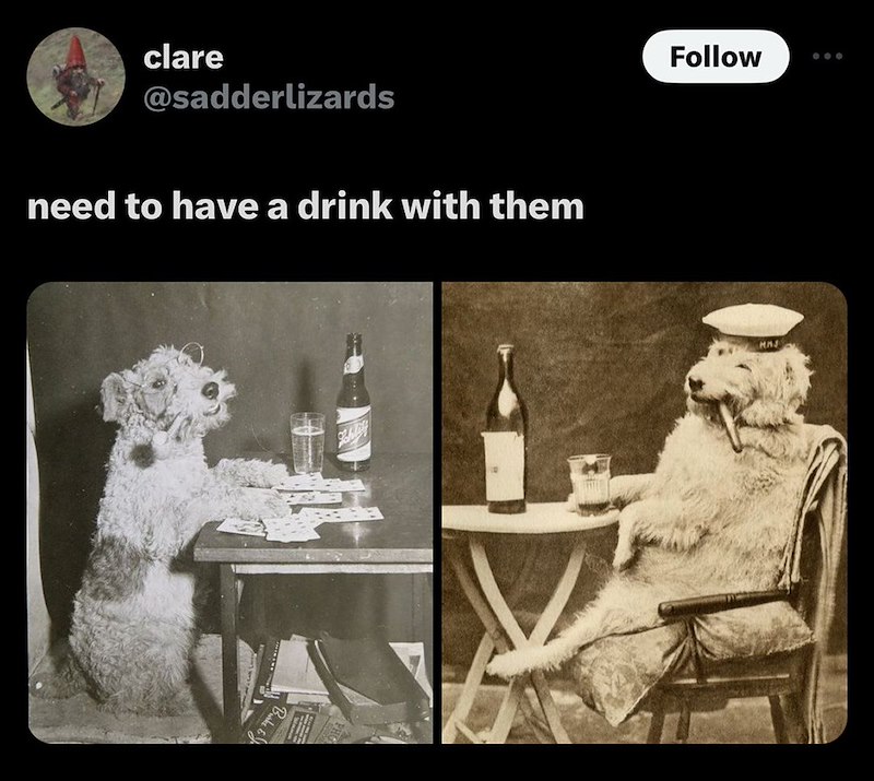 clare @sadderlizards need to have a drink with them Schlitts Follow