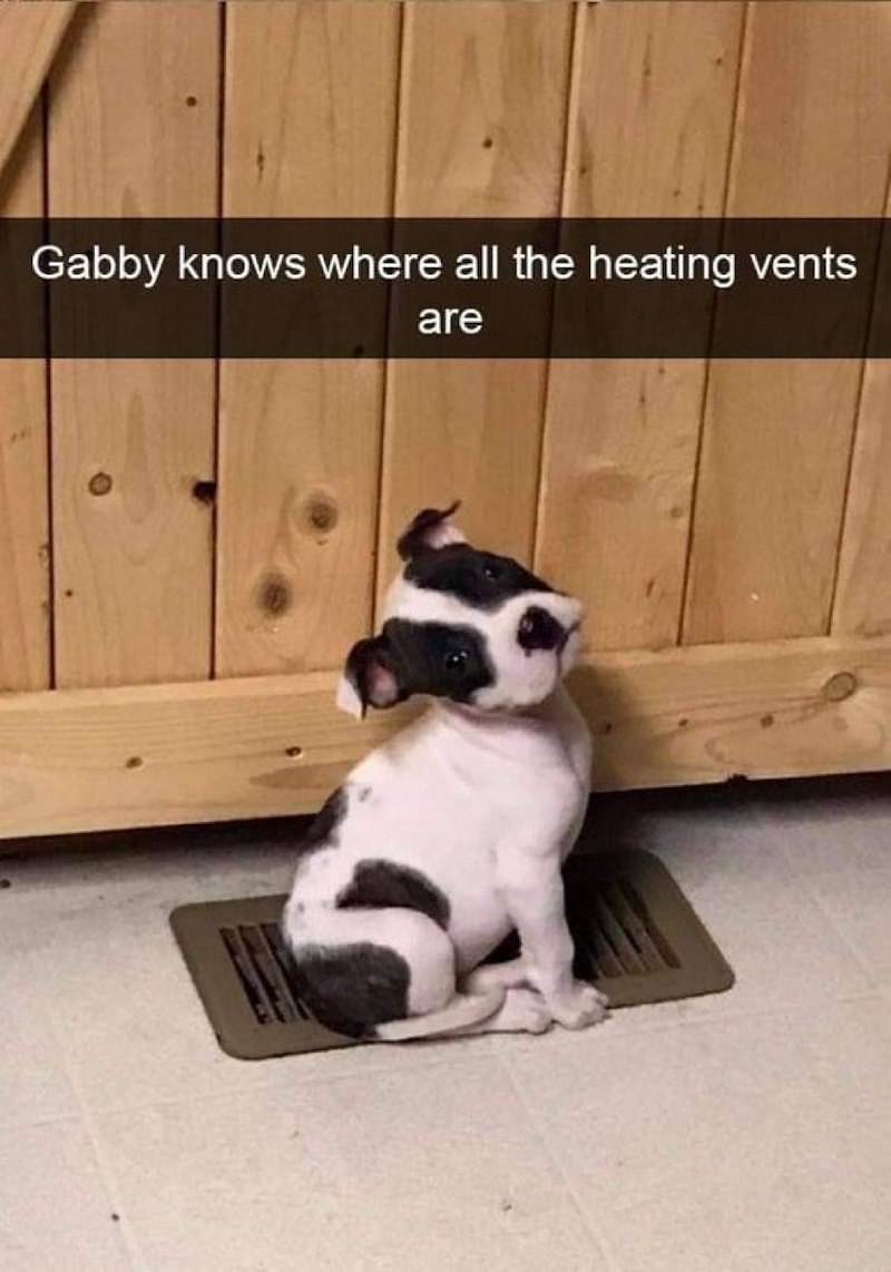 Gabby knows where all the heating vents are