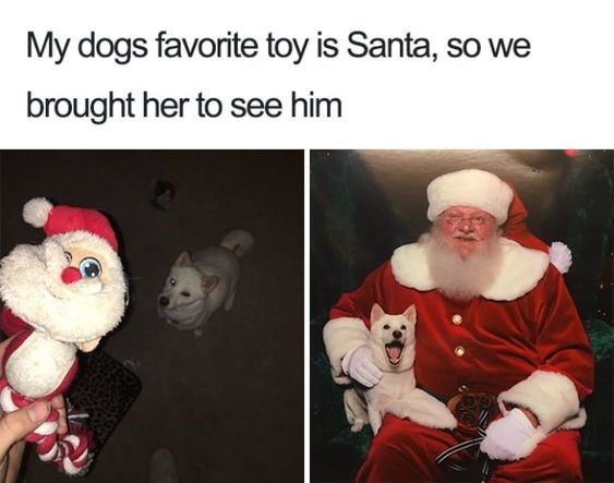 My dogs favorite toy is Santa, so we brought her to see him