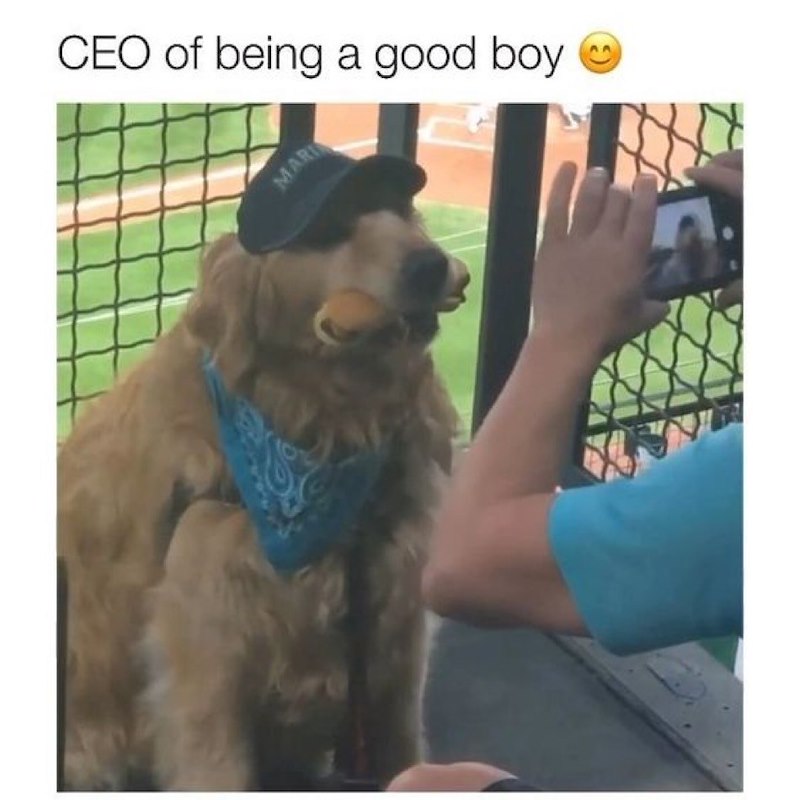 CEO of being a good boy MARI