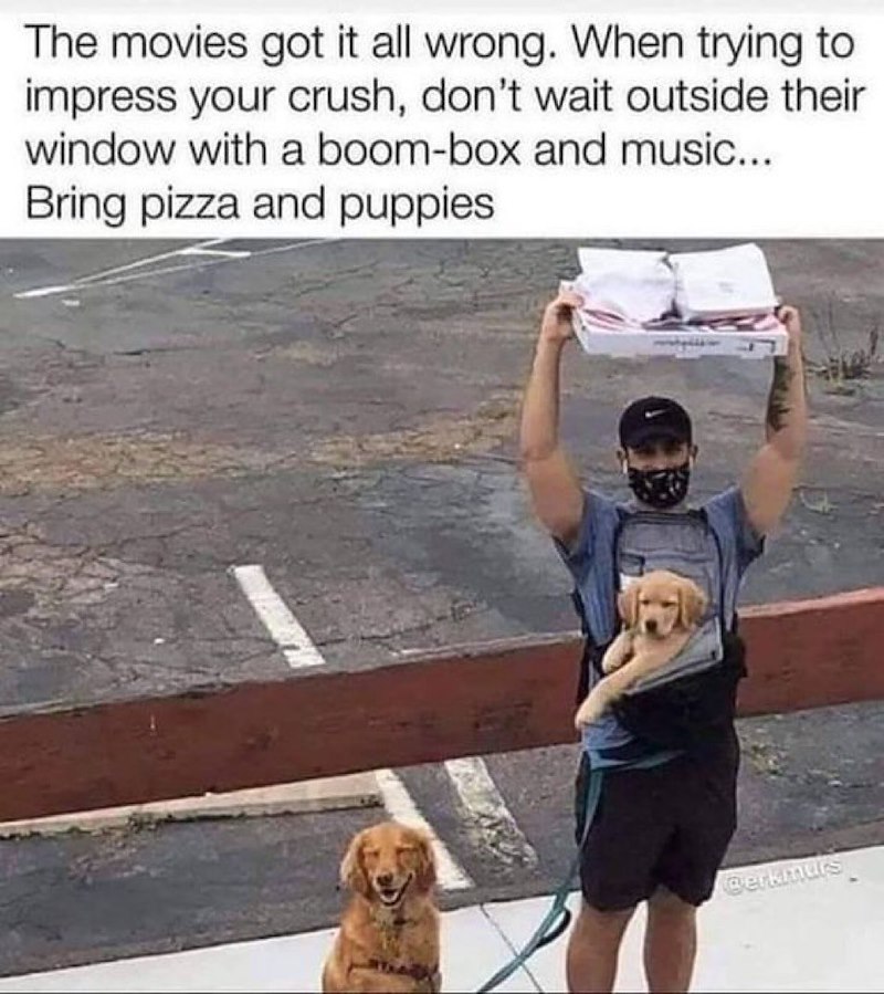 The movies got it all wrong. When trying to impress your crush, don't wait outside their window with a boom-box and music... Bring pizza and puppies Berkmurs