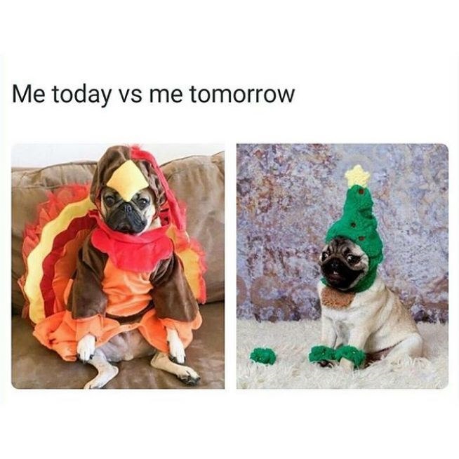 Me today vs me tomorrow