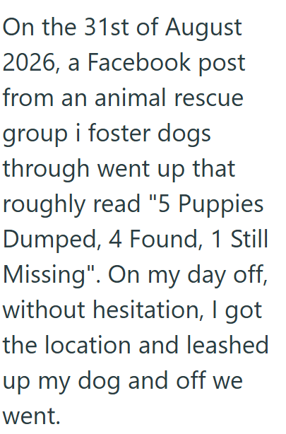 On the 31st of August 2026, a Facebook post from an animal rescue group i foster dogs through went up that roughly read "5 Puppies Dumped, 4 Found, 1 Still Missing". On my day off, without hesitation, I got the location and leashed up my dog and off we went.