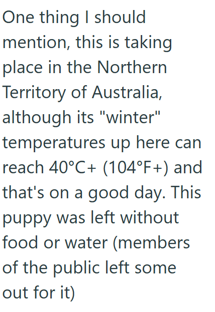 One thing I should mention, this is taking place in the Northern Territory of Australia, although its "winter" temperatures up here can reach 40°C+ (104°F+) and that's on a good day. This puppy was left without food or water (members of the public left some out for it)
