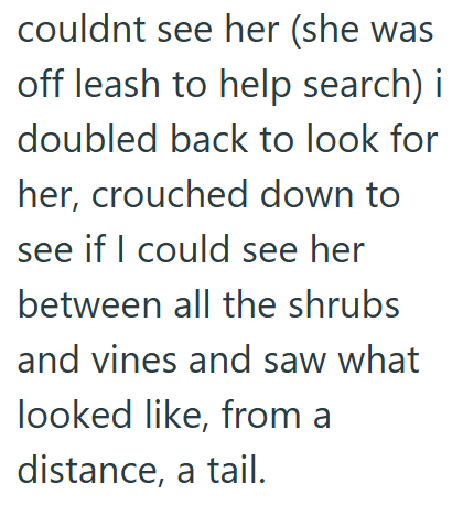 couldnt see her (she was off leash to help search) i doubled back to look for her, crouched down to see if I could see her between all the shrubs and vines and saw what looked like, from a distance, a tail.