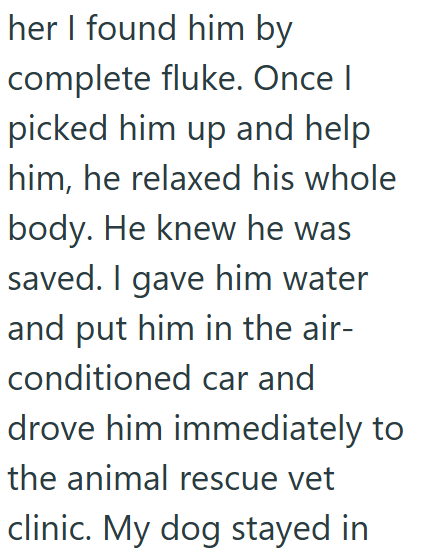 her I found him by complete fluke. Once I picked him up and help him, he relaxed his whole body. He knew he was saved. I gave him water and put him in the air- conditioned car and drove him immediately to the animal rescue vet clinic. My dog stayed in