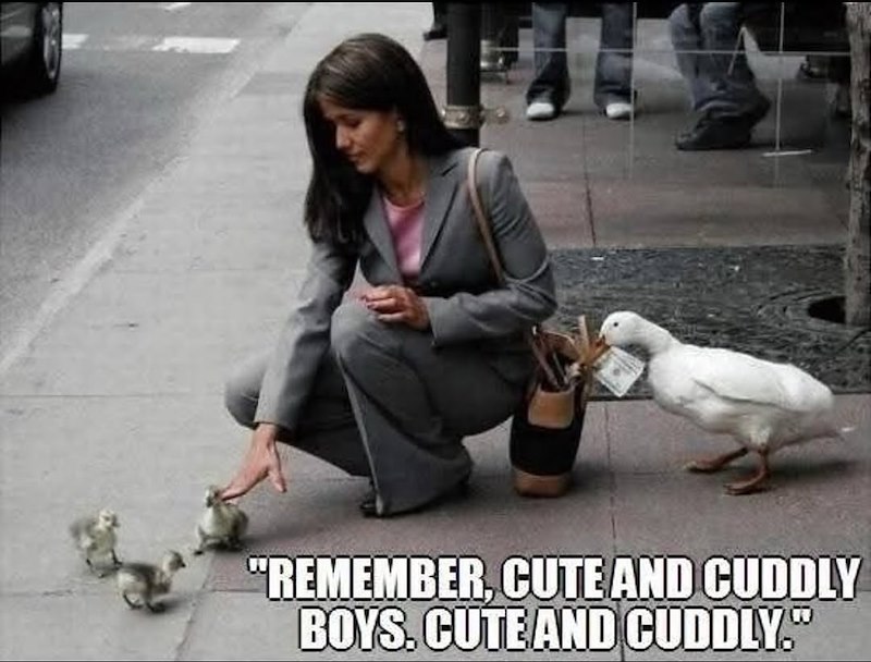 "REMEMBER, CUTE AND CUDDLY BOYS. CUTE AND CUDDLY."