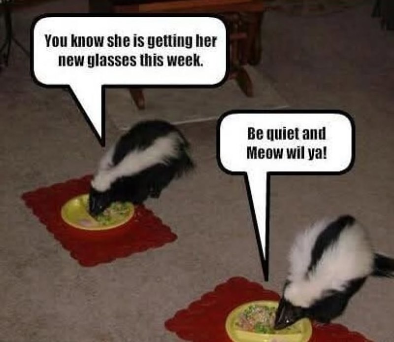 You know she is getting her new glasses this week. Be quiet and Meow wil ya!