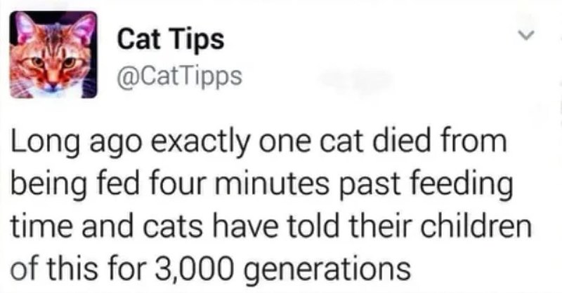 Cat Tips @CatTipps Long ago exactly one cat died from being fed four minutes past feeding time and cats have told their children of this for 3,000 generations