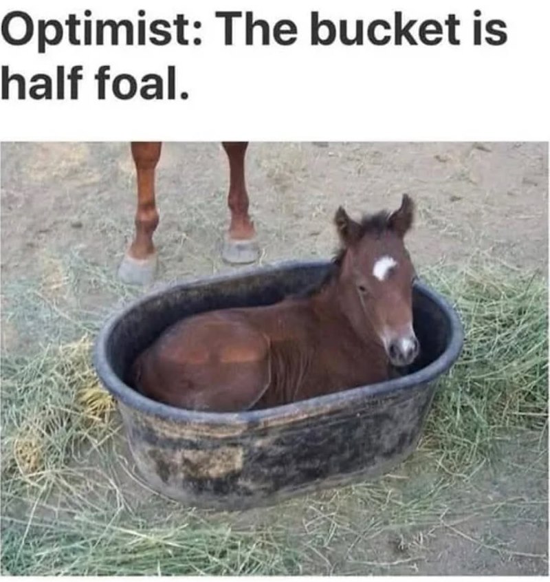 Optimist: The bucket is half foal.