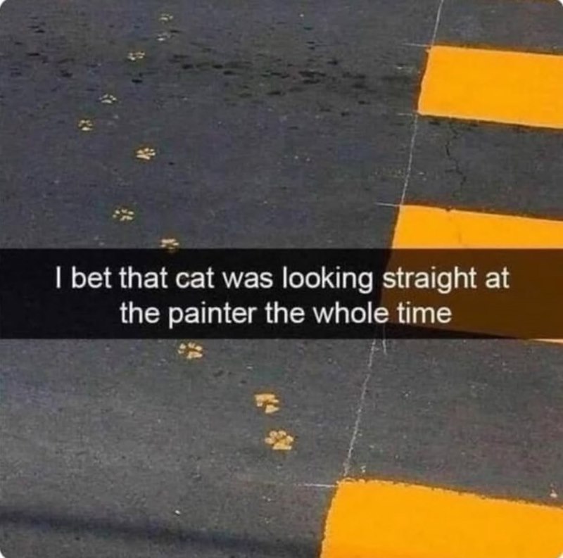 I bet that cat was looking straight at the painter the whole time