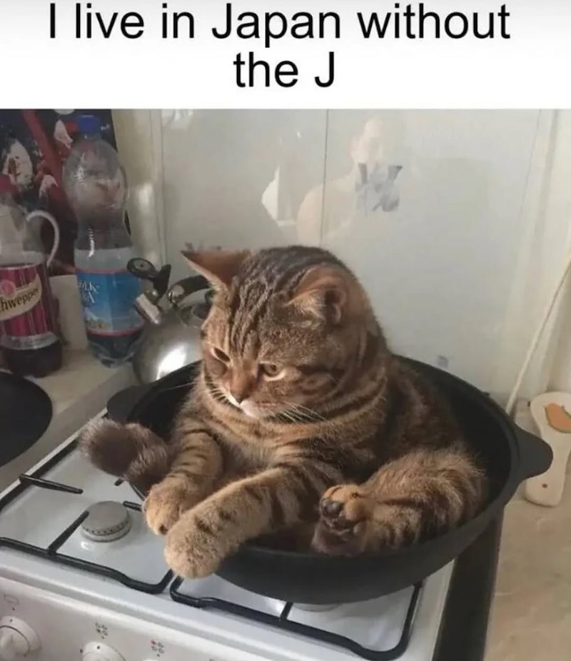 I live in Japan without the J Chweppe 49