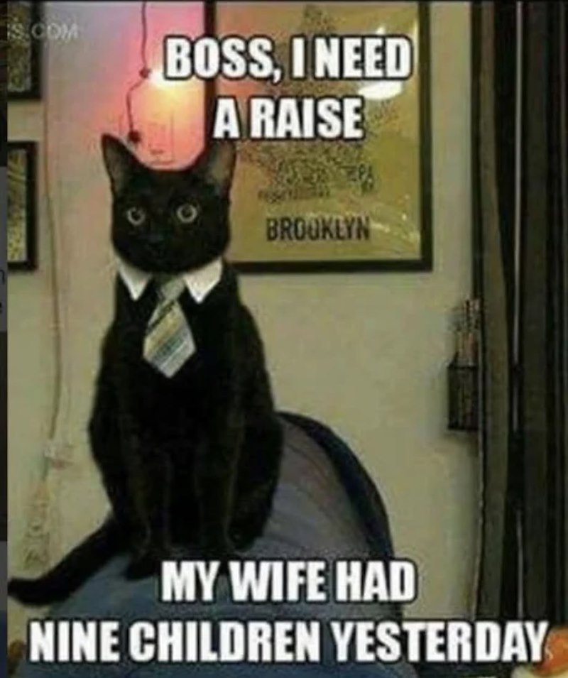 IS.COM BOSS, I NEED A RAISE 1938 BROOKLYN MY WIFE HAD NINE CHILDREN YESTERDAY