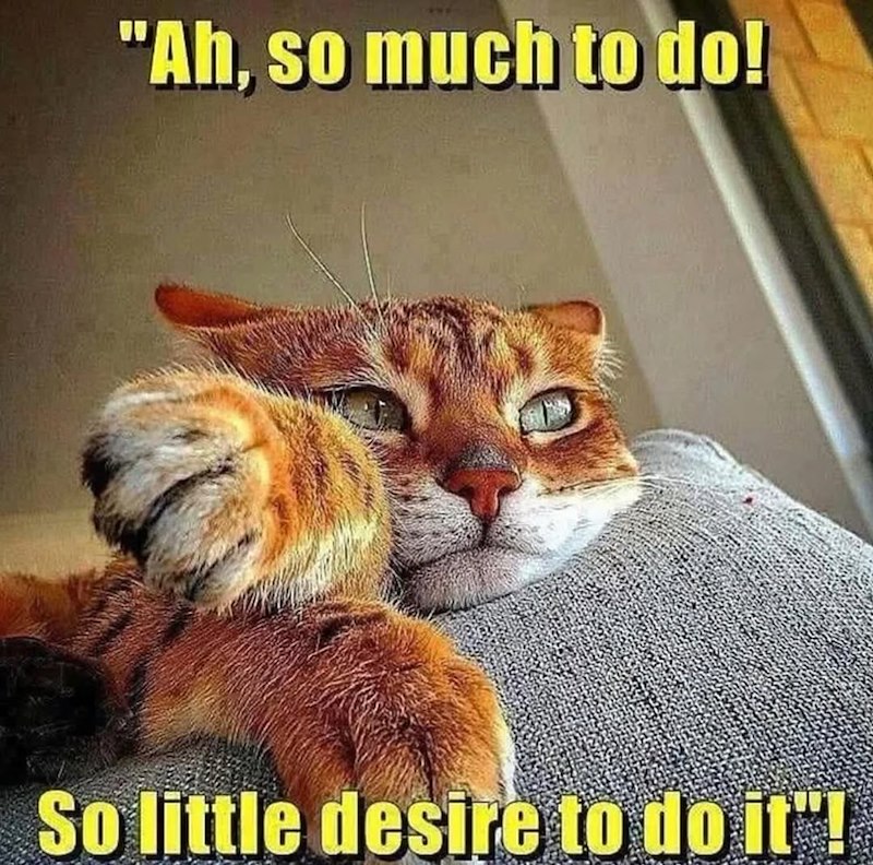 "Ah, so much to do! So little desire to do it"!