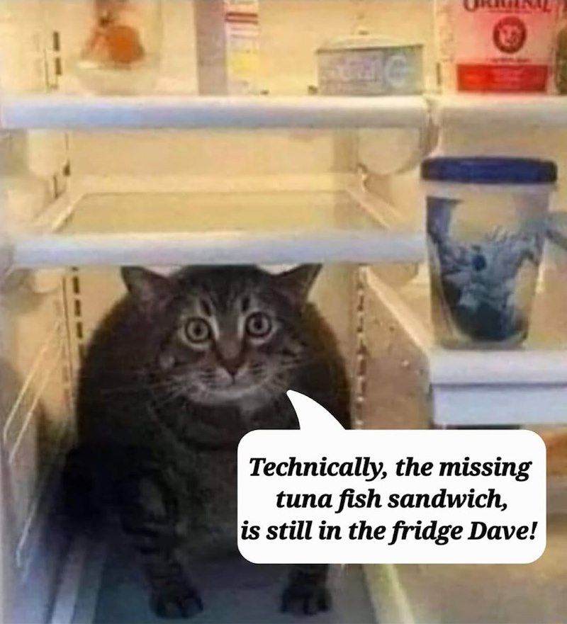 Technically, the missing tuna fish sandwich, is still in the fridge Dave!