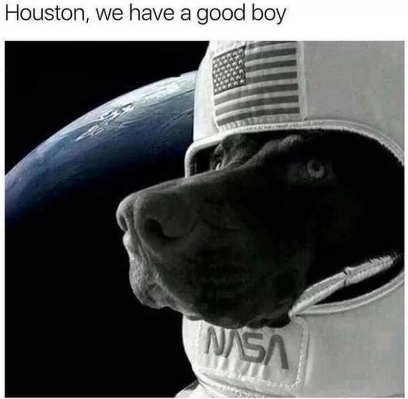 Houston, we have a good boy NASA