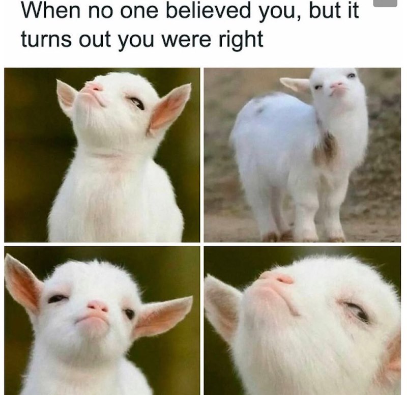 When no one believed you, but it turns out you were right
