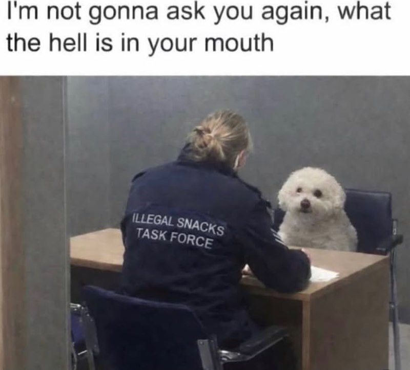 I'm not gonna ask you again, what the hell is in your mouth ILLEGAL SNACKS TASK FORCE