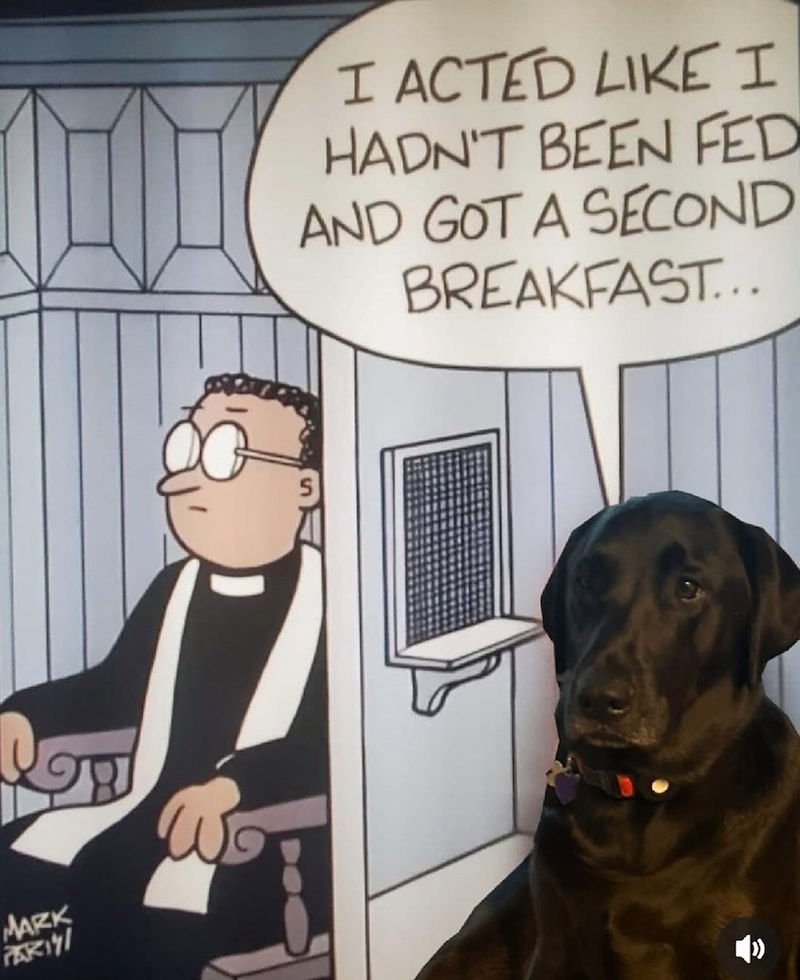 MARK PARTI I ACTED LIKE I HADN'T BEEN FED AND GOT A SECOND BREAKFAST...