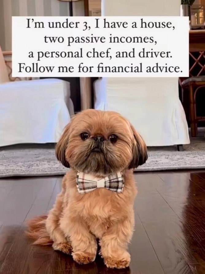 I'm under 3, I have a house, two passive incomes, a personal chef, and driver. Follow me for financial advice.