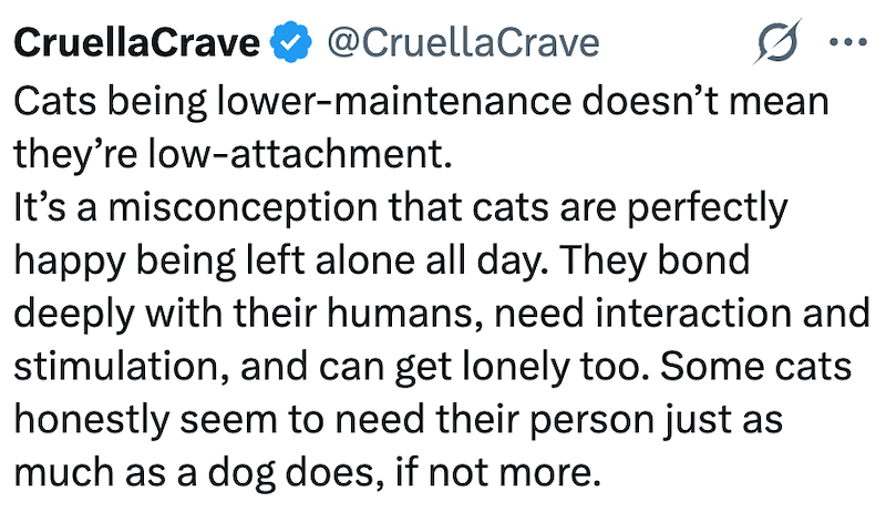 CruellaCrave @CruellaCrave Cats being lower-maintenance doesn't mean they're low-attachment. It's a misconception that cats are perfectly happy being left alone all day. They bond deeply with their humans, need interaction and stimulation, and can get lonely too. Some cats honestly seem to need their person just as much as a dog does, if not more.