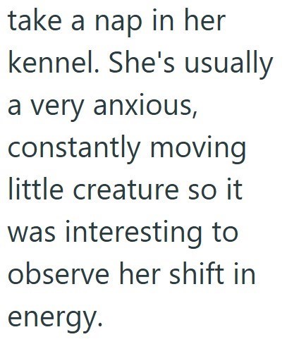 take a nap in her kennel. She's usually a very anxious, constantly moving little creature so it was interesting to observe her shift in energy.