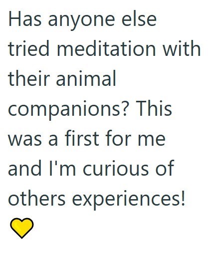 Has anyone else tried meditation with their animal companions? This was a first for me and I'm curious of others experiences!