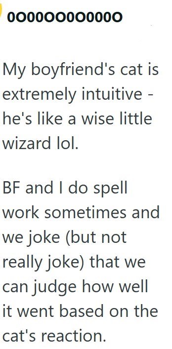 My boyfriend's cat is extremely intuitive - he's like a wise little wizard lol. BF and I do spell work sometimes and we joke (but not really joke) that we can judge how well it went based on the cat's reaction. 000000000000