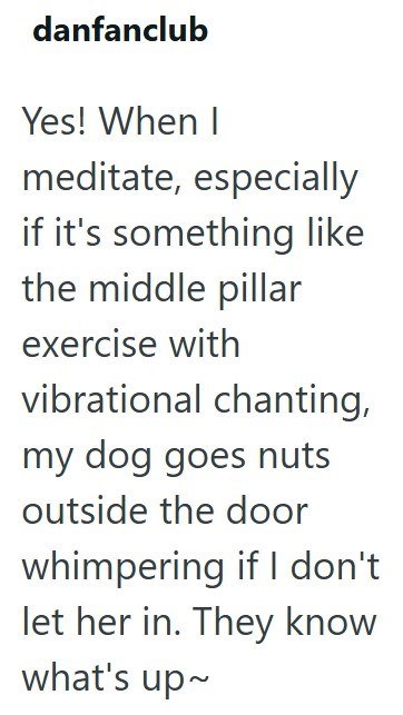 danfanclub Yes! When I meditate, especially if it's something like the middle pillar exercise with vibrational chanting, my dog goes nuts outside the door whimpering if I don't let her in. They know what's up~