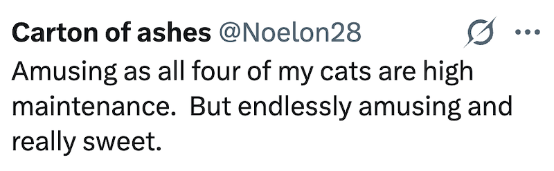 Carton of ashes @Noelon28 Amusing as all four of my cats are high maintenance. But endlessly amusing and really sweet.