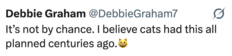 Debbie Graham @DebbieGraham7 It's not by chance. I believe cats had this all planned centuries ago.