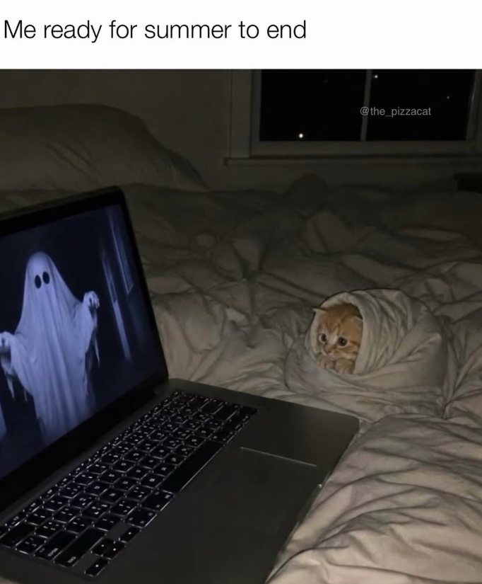Me ready for summer to end @the_pizzacat