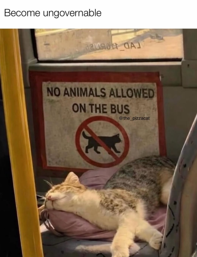 Become ungovernable NO ANIMALS ALLOWED ON THE BUS @the_pizzacat