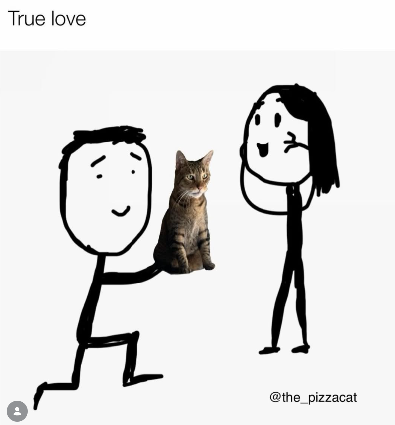 True love > @the_pizzacat