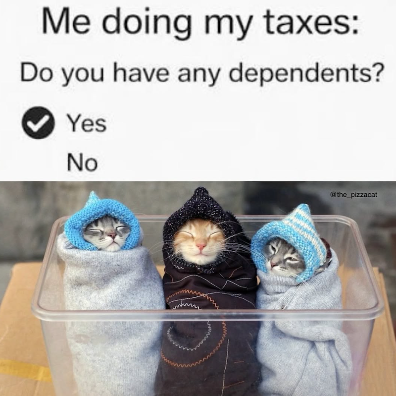 Me doing my taxes: Do you have any dependents? Yes No @the_pizzacat