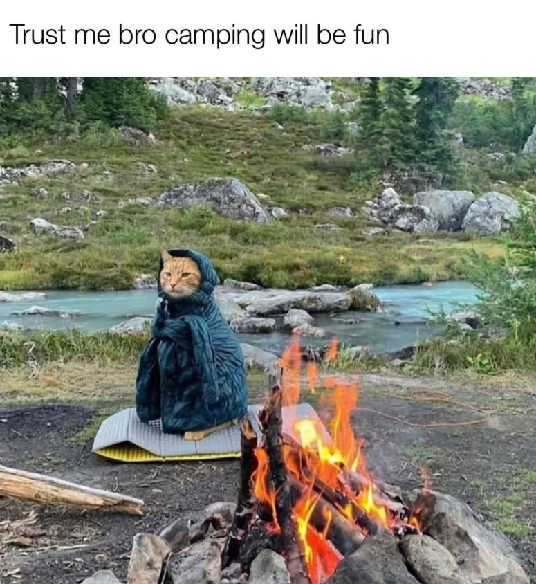 Trust me bro camping will be fun