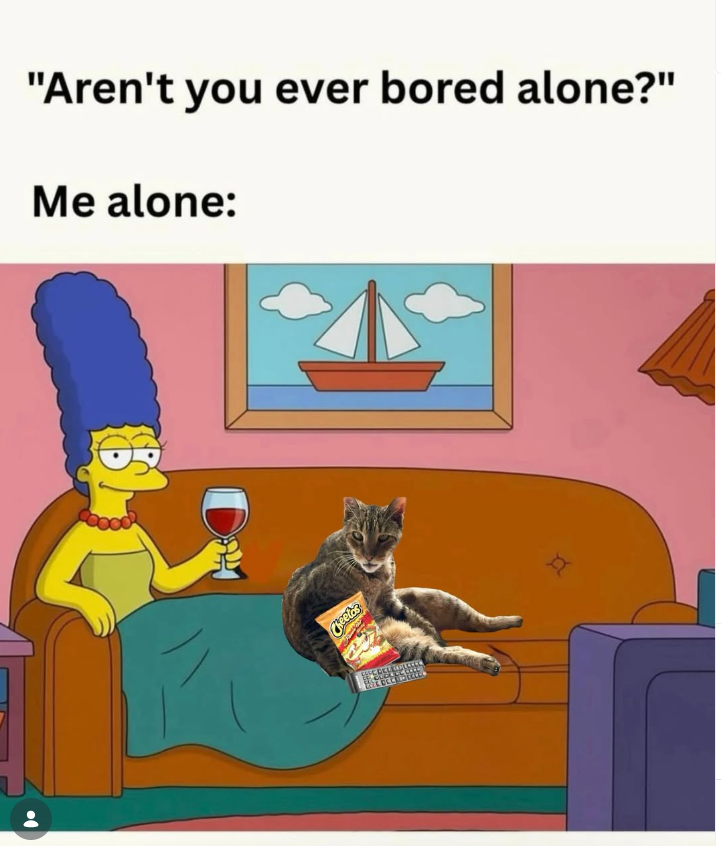 "Aren't you ever bored alone?" Me alone: Cheetos
