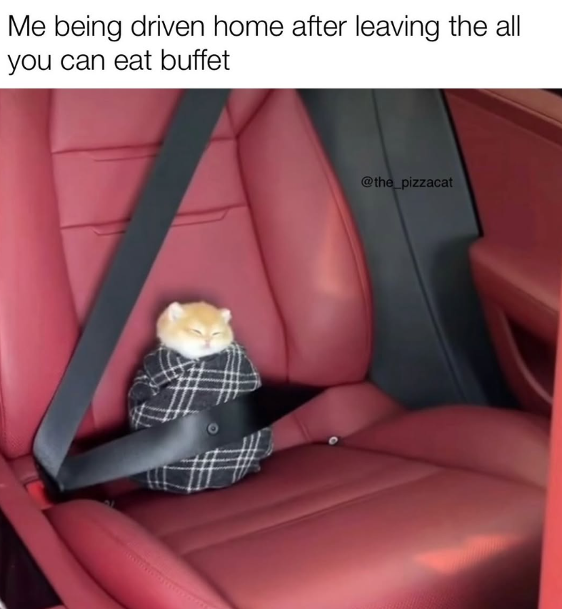Me being driven home after leaving the all you can eat buffet @the_pizzacat