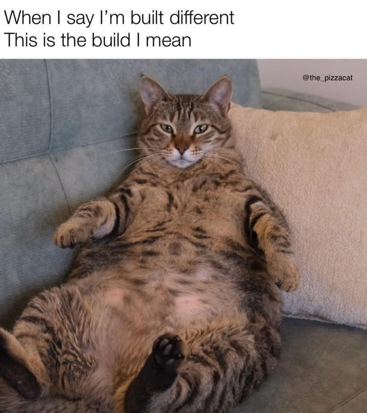 When I say I'm built different This is the build I mean @the_pizzacat