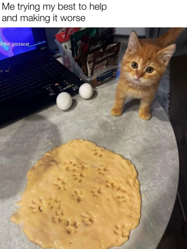 Me trying my best to help and making it worse @the_pizzacat Phone BERKRAFT