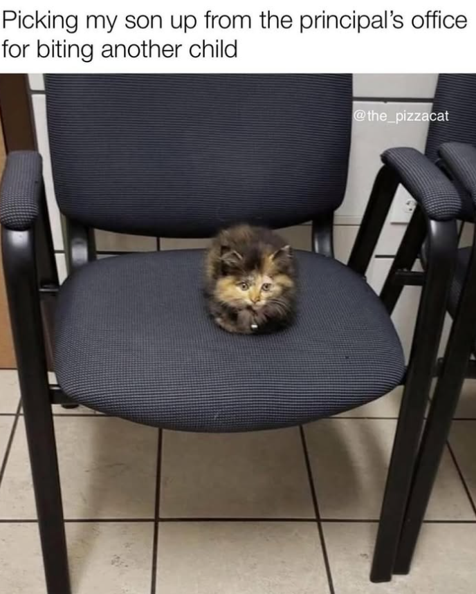 Picking my son up from the principal's office for biting another child @the_pizzacat