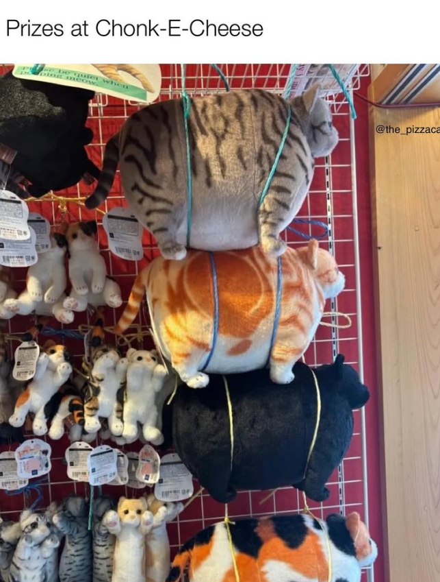 Prizes at Chonk-E-Cheese se be quiet when ping meow. @the_pizzaca