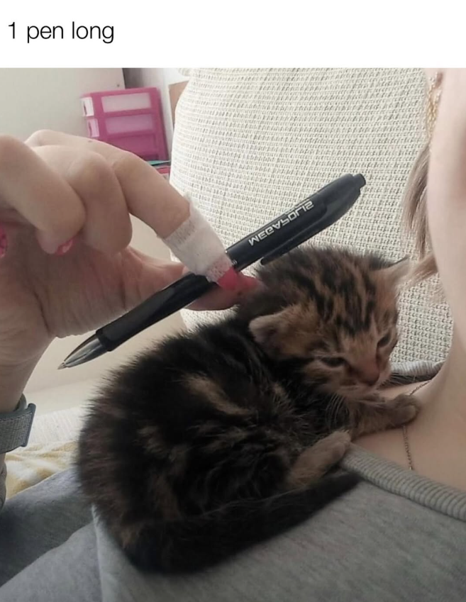 1 pen long WECVSORI2
