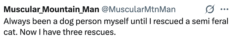 Muscular_Mountain_Man @MuscularMtnMan Always been a dog person myself until I rescued a semi feral cat. Now I have three rescues.