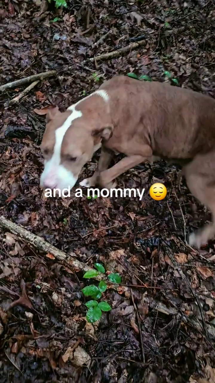 and a mommy